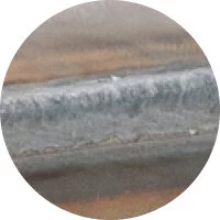 2025/04/Ellipse-5-15.jpg 
